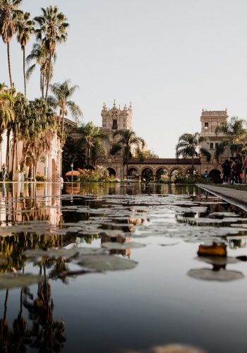 zane-persaud-5JEwPOAZo24-unsplash-350×500